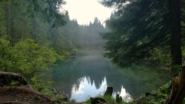 Красивое горное озеро в лесу — стоковое видео
