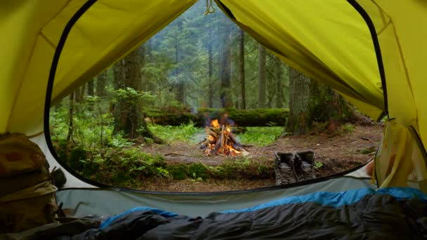 Вид из туристической палатки на костёр и волшебный лес — стоковое видео