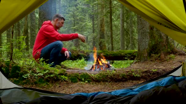 Bärtiger Mann am Feuer in einem schönen Wald — Stockvideo