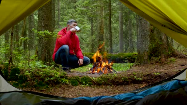 Barbudo turista hombre cerca del fuego en un hermoso bosque — Vídeos de Stock