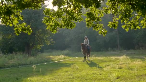 Amerikanischer Cowboy zu Pferd auf einer Waldwiese — Stockvideo