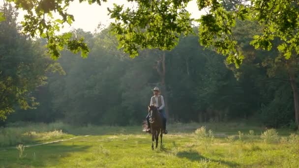 Amerykański kowboj na koniu na leśnym trawniku — Wideo stockowe