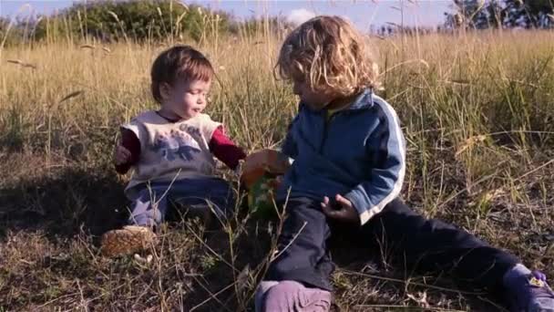 Дети играют на траве — стоковое видео