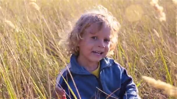 Un niño se sienta en la hierba — Vídeos de Stock