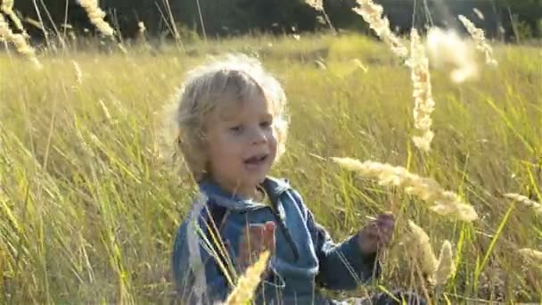 Niño feliz sentado en la hierba — Vídeo de stock