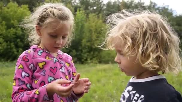 Dwoje zabawnych dzieciaków bawi się, zakrywając mu twarz rękami. — Wideo stockowe