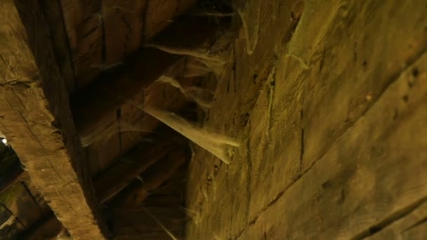 Holzwand und Dach eines alten Hauses — Stockvideo