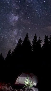Ormandaki yıldızlı gökyüzünün altında gece vakti, uzun çam ağaçlarıyla çevrili, yıldızlarla dolu karanlık bir ormanda parlayan kamp çadırı ve çam ağaçlarının siluetleri, dikey videolar