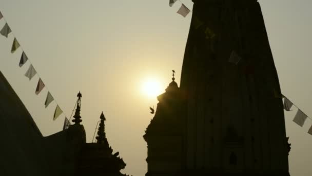 Храм мавпи на сході сонця — стокове відео