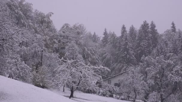 Boże Narodzenie śniegu w górach alpejskich — Wideo stockowe