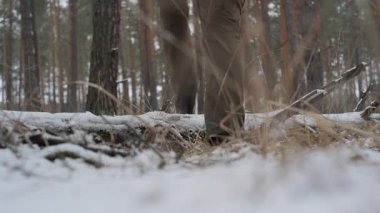 Karlı çam ormanlarında yürüyüp sırt çantası ve uyku paspası taşıyan gezgin, soğuk mevsim yolculuğunda kış ormanlık yolda açık hava teçhizatıyla ilerliyor.