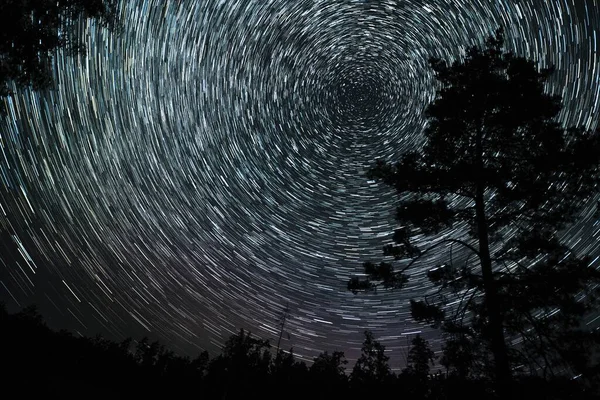 Beautiful star trails stretch across the night sky above a tranquil forest, capturing the movement of stars over time in a peaceful natural setting.
