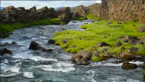 Fiume nel Parco nazionale di Thingvellir, Islanda — Video Stock