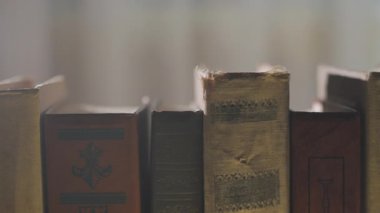 Raflara dizilmiş eski giysili ciltler nostaljik akademik atmosfer yaratıyor, yumuşak aydınlatma, miras kütüphanelerinin hafızayı koruduğunu gösteren dokulu dikenleri vurguluyor