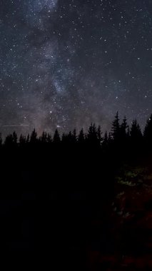 Çam siluetleri arasında parlayan şenlik ateşiyle yıldızları izleyen Gezgin, gece yarısı sessiz ve dikey görüntüler eşliğinde yanan ateşin yanında ellerini ısıtıyor.