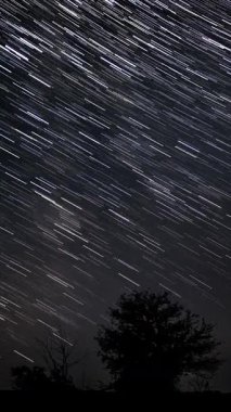 Karanlık orman siluetlerinin üzerinde, gece boyunca gökyüzünde uzun pozlama yıldızları, açık gece koşullarında Dünya 'nın dönüşünü gösteren astrofotoğrafçılık hareketleri, dikey görüntüler.