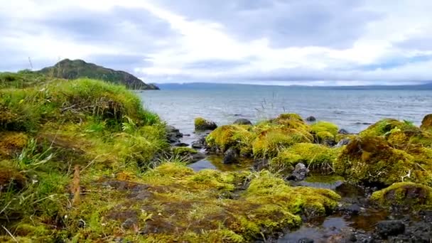 Thingvellir, Islândia — Vídeo de Stock