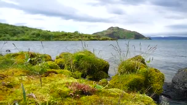 Podarowany jeziora, Islandia — Wideo stockowe
