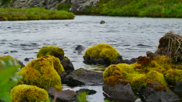 Jezero a kameny na Islandu — Stock video