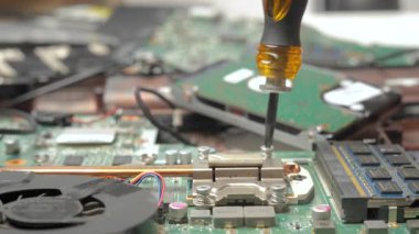 Tornavidayı kapatan dizüstü bilgisayar onarımı, donanım bileşenlerini gösteren elektronik bakım süreci ve hassas el işi.