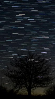Geceleyin yalnız ağaç siluetinin üzerinde yıldız izleri, uzun süre çekim süresi aşımı göksel döngü ve akış çizgileri, dikey görüntüler.