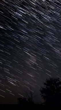 Gece boyunca orman silueti üzerinde hareket eden yıldız izleri, göksel hareketi ve dönen ışık çizgilerini, dikey görüntüleri gösteren uzun pozlama süreleri.