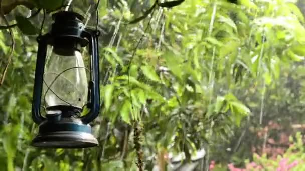 Chuva cai em lâmpada tropical e antiga — Vídeo de Stock