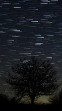 Tek başına gece gökyüzünde dönen yıldız izleri, uzun pozlama, Astrofotoğrafçılık sahnesi, parlak gök hareketi ile Dünya 'nın dönüş efektini gösteren, dikey görüntüler.