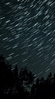 Ormanın üzerinde yıldız izleri dikey uzun gece gökyüzü hareketi, karanlık ormanlık silueti üzerinde yakalanan çapraz yıldız hareketi, dikey görüntüler