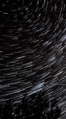 Yıldız 'ın gece gökyüzündeki ağaç siluetlerinin üzerindeki zaman aralıkları. Destansı video, dikey görüntü