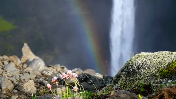 Rainbow over waterval Hayfoss en gras — Stockvideo