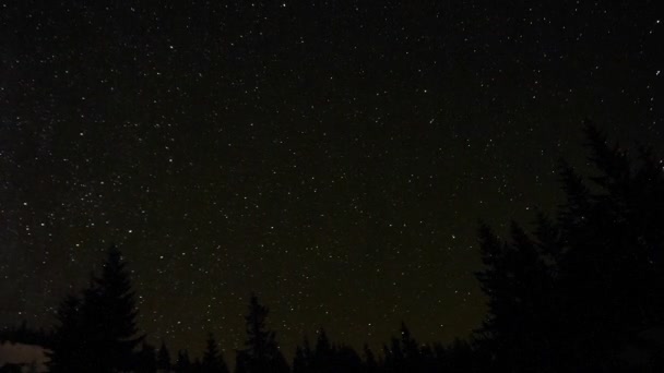 Estrelas no céu noturno — Vídeo de Stock