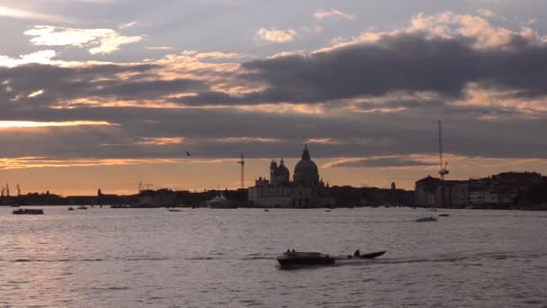 Zachód słońca w Vinece. Katedra Santa Maria della Salute — Wideo stockowe