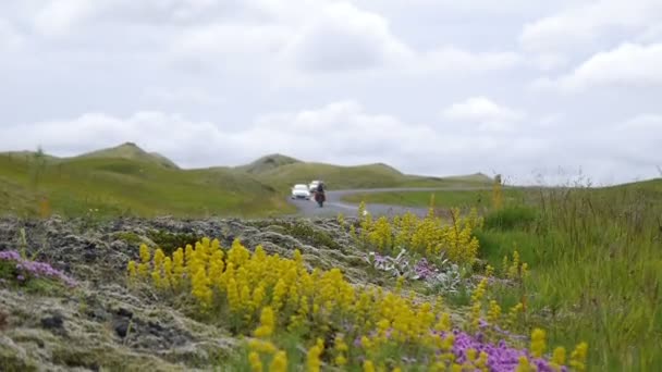 Велосипедисти на дорозі в Ісландії — стокове відео