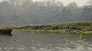 Nepal. Katı ahşaptan yapılan nehir tekne kayan