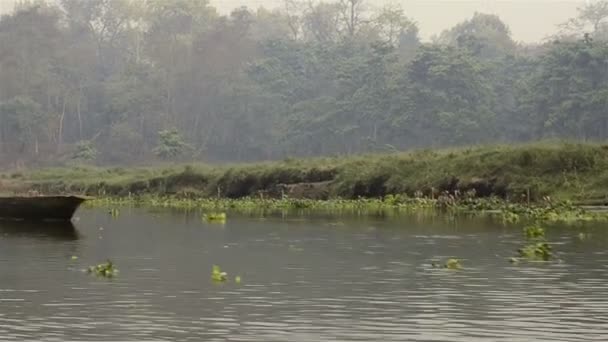 Nepal. Floating down the river boat made of solid wood — Stock Video