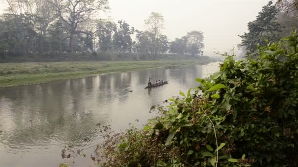 Chitwan Ulusal Parkı — Stok video