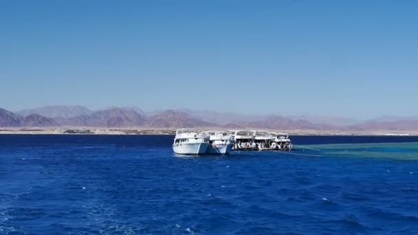 Weiße Yachten treiben in Ägypten auf dem Roten Meer — Stockvideo