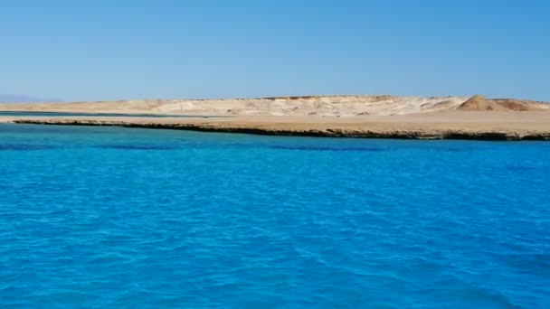 Red sea, Egypt — Wideo stockowe