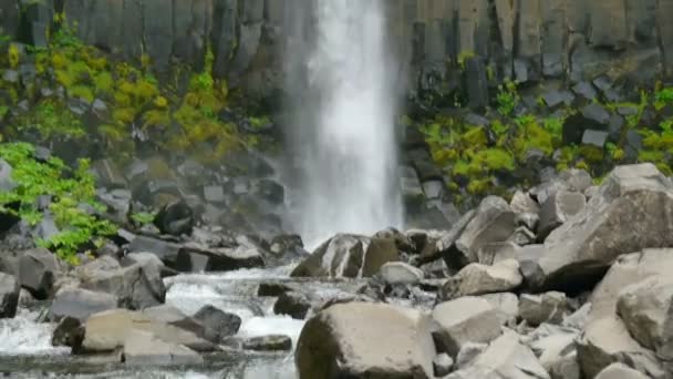 Vegetatie en basalt stenen samen met vallende wateren van de Svartifoss, IJsland — Stockvideo