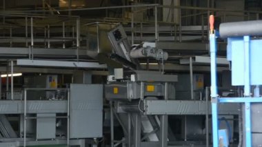 Balık işleme fabrikası. Hofn. İzlanda.