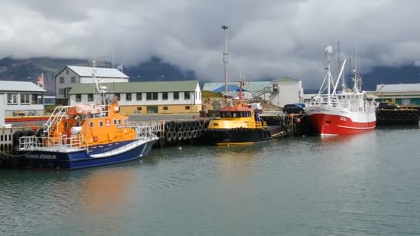 Fiskebåtarna i hamnen. Höfn, Iceland. — Stockvideo