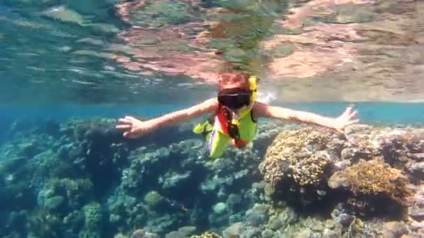Een meisje met plezier onderwater zwemmen in de rode zee. — Stockvideo