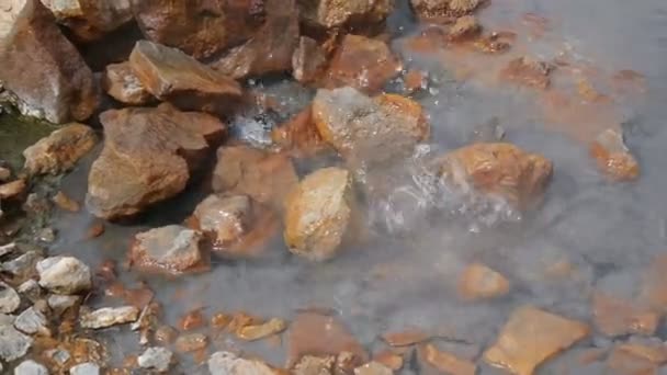 Bubbling and boiling water in a geothermal area. — Stock Video