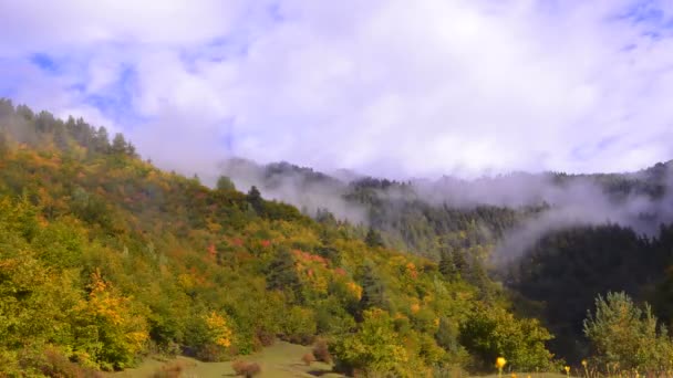 Die Bewegung der Wolken über dem Herbstwald. — Stockvideo