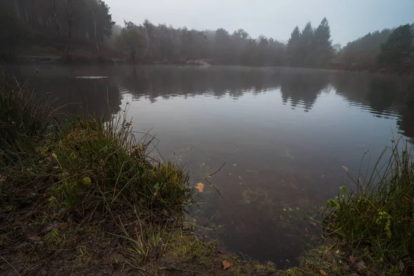 Cannock Chase National Forest Visite Heure Matin Whith Brume — Photo