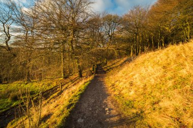Zirvedeki güneşin doğuşuna hayran kaldım.