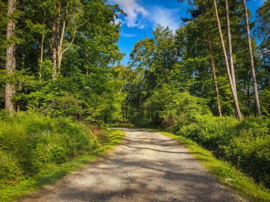 Pazar günü Poland Bieszczady 'ye kısa bir gezi.