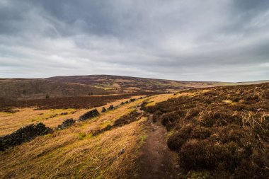 Peak District Brandord Edge Ulusal Parkı Sabah Yürüyüşü 2021 Nisan