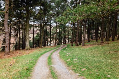 Peak District Brandord Edge Ulusal Parkı Sabah Yürüyüşü 2021 Nisan